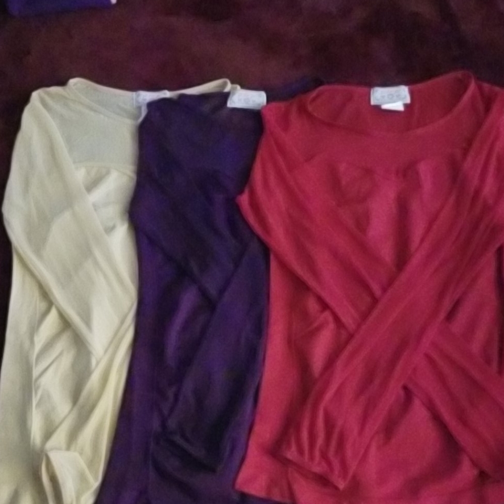 Sheer Long Sleeve Layering Top 3 Pack Bundle O/S